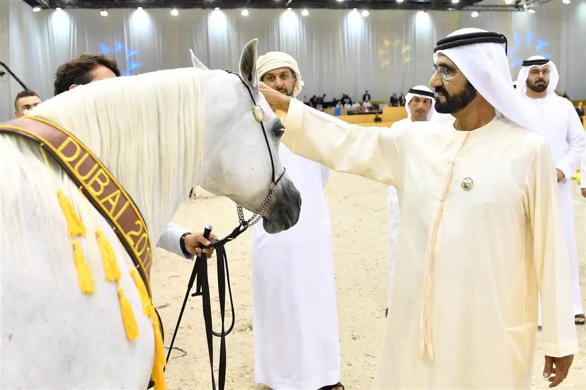 Esposizione Internazionale dei Cavalli Arabi di Dubai