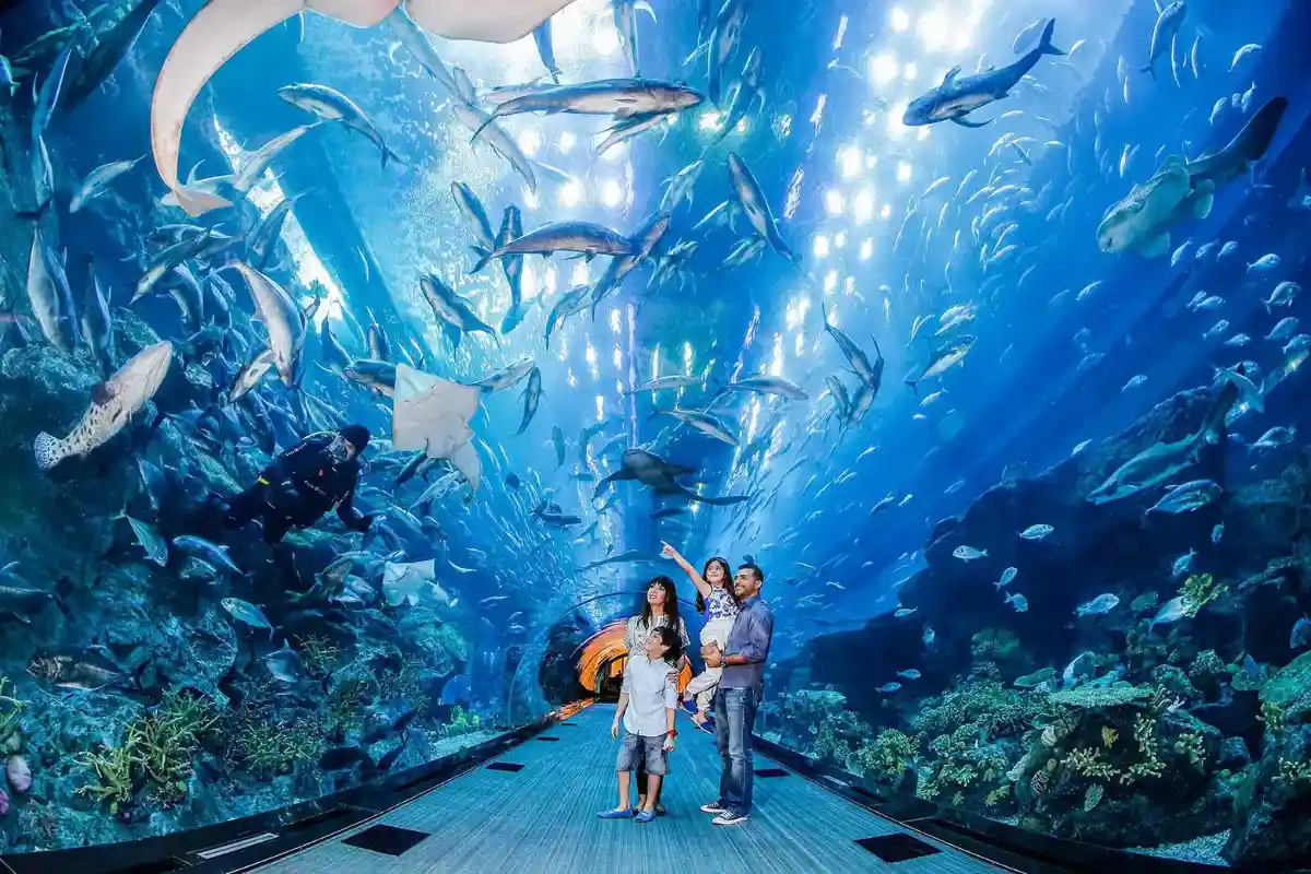 Posizione e accesso facile all'acquario di Dubai