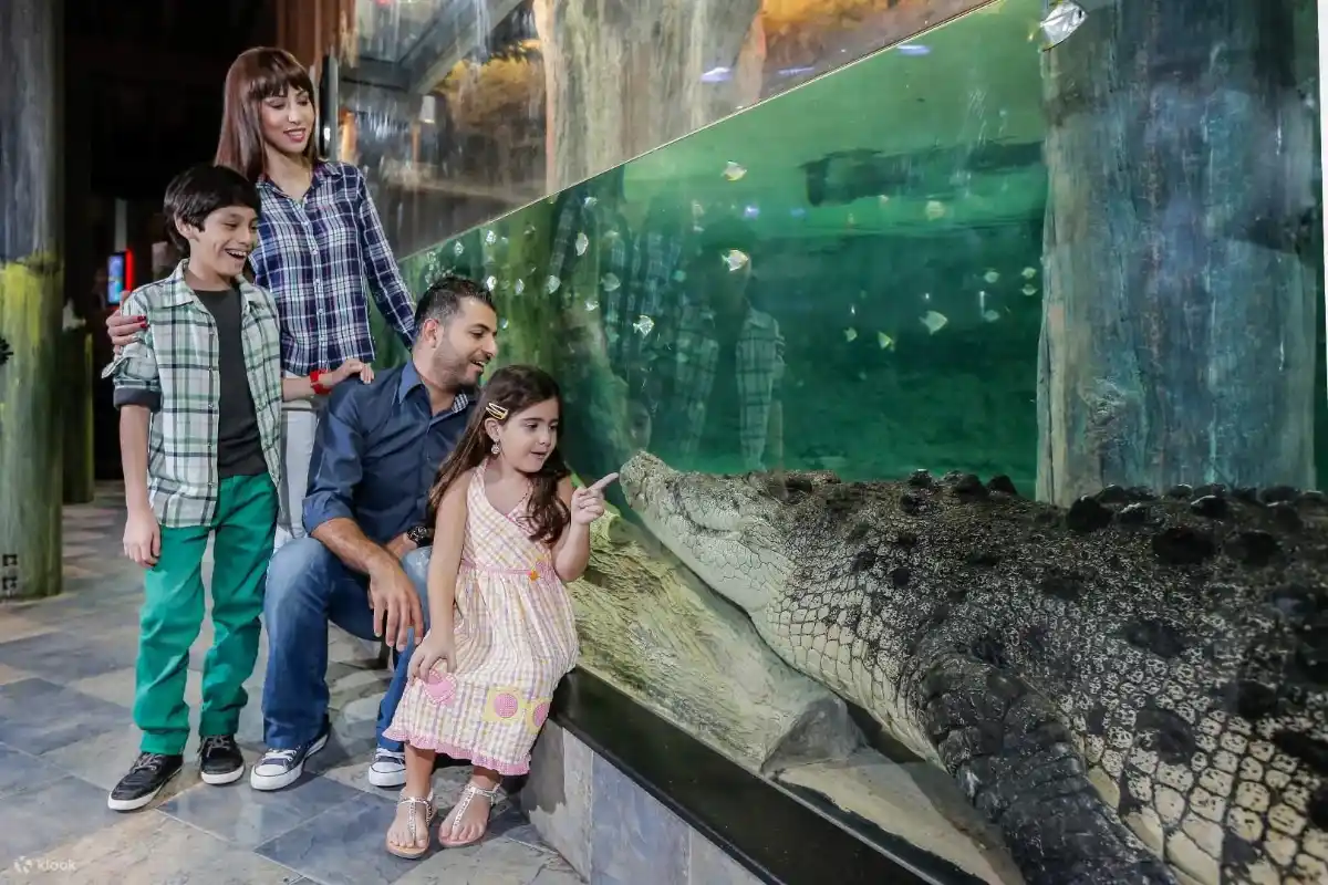 Strutture dell'acquario e dello zoo sottomarino