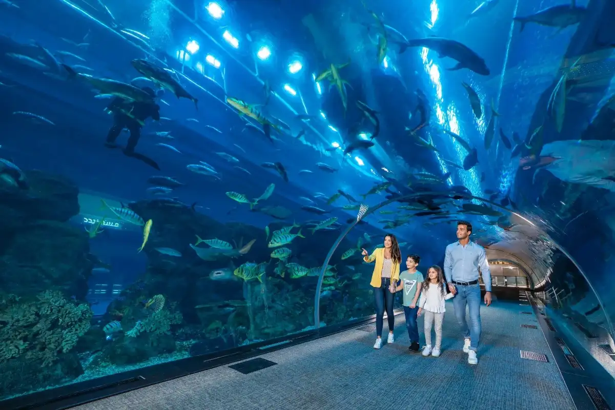 Esperienza familiare e adatta ai bambini all'acquario di Dubai