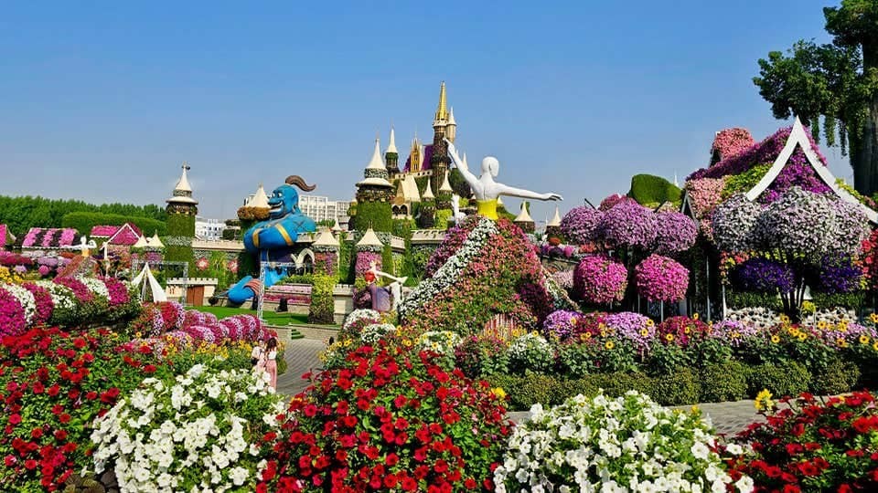 The Miracle of Flowers on the Birthday: Free Entry to Dubai Miracle Garden