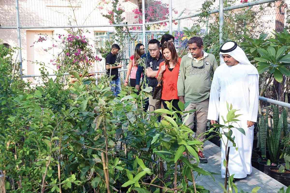 السياحة المستدامة في مزارع الإمارات: تجربة فريدة هذا الشتاء